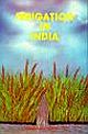 IRRIGATION IN INDIA:THEMES ON DEVELOPMENT, PLANNING, PERFORMANCE