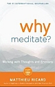 WHY MEDITATE? (Working with thoughts and emotions)