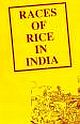 RACES OF RICE IN INDIA:(BEING VOL. XVI.)