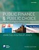 PUBLIC FINANCE & PUBLIC CHOICE, 3E Analytical Perspectives