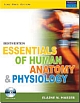 Essentials of Human Anatomy & Physiology, 8/e