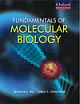 FUNDAMENTALS OF MOLECULAR BIOLOGY