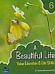 A Beautiful Life 6