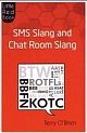 The Little Red Book of SMS Slang And Chat Room Slang