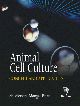 Animal Cell Culture: Concept and Application