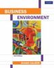 Business Environment, 2/e
