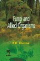 Fungi and Allied Organisms