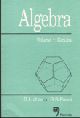 Algebra: Volume 1: Groups 