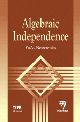 Algebraic Independence