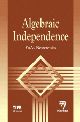 Algebraic Independence