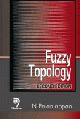 Fuzzy Topology