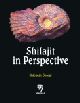 Shilajit in Perspective