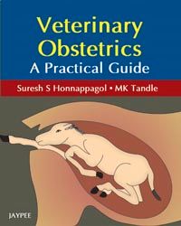 Veterinary Obstetrics A practical Guide