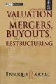 VALUATION FOR MERGERS, BUYOUTS, AND RESTRUCTURING, 2ND ED