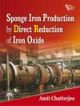 Sponge Iron Production by Direct Reduction of Iron Oxide   