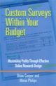 Custom Surveys Within Your Budget : Maximizing Profits Through Effective Online Research Design 
