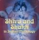 Shiva-Shakti in Indian Mythology