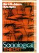 Sociological Theory 