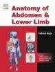 Anatomy Of Lower Limb And Abdomen