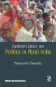 Capitalism, Labour and Politics in Rural India 