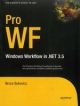 Pro Wf: Windows Workflow In .Net 3.5 