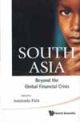 South Asia : Beyond the Global Financial Crisis