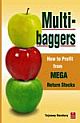 Multibaggers : How to Profit from Mega Return Stocks
