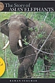 The Story Of Asia`s Elephants