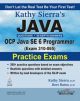 JAVA: OCP JAVA SE 6 PROGRAMMER, EXAM 310-065, PRACTICE EXAMS