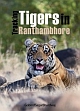 TRACKING TIGERS IN RANTHAMBHORE 