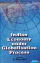Indian Economy under Globalisation Process 