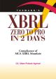 XBRL Zero to Pro in 2 Days