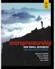 Entrepreneurship And Small Business (Paperback)