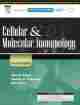 Cellular And Molecular Immunology, 7/e 