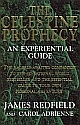 The Celestine Prophecy: An Experiential Guide 