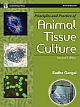 Principles and Practice of Animal Tissue Culture 
