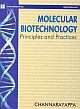 Molecular Biotechnology: Principles and Practises