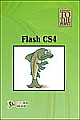 Straight To The Point - Flash CS4