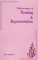 Philosophy of Meaning & Representation