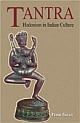Tantra Hedonism in Indian Culture