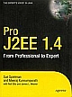 Pro J2EE 1.4: From Professional to Expert