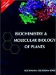 Biochemistry & Molecular Biology of Plants