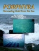 Porphyra: Harvesting Gold from the Sea