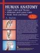 Human Anatomy (3 Volumes Set)   