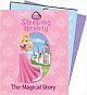 Cinderella Story Book