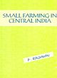 Small Farming in Central India
