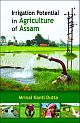 Irrigation Potential in Agriculture of Assam: Problems and Prospects
