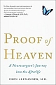 Proof of Heaven: A Neurosurgeon`s Journey into the Afterlife