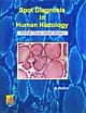 SPOT DIAGNOSIS IN HUMAN HISTOLOGY