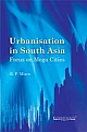 Urbanisation in South Asia: Focus on Mega Cities